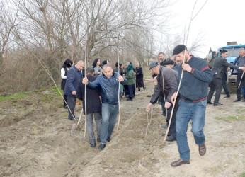 Salyan rayonunun Qarabağlı kəndində “Yaşıl dünya naminə həmrəylik ili”  çərçivəsində ağacəkmə aksiyası keçirilmişdir.