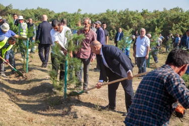 “27 sentyabr - Anım Günü”nün beşinci ildönümü ilə əlaqədar ağacəkmə aksiyası keçirilib.