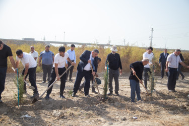 “27 sentyabr - Anım Günü”nün altıncı ildönümü ilə əlaqədar  ağacəkmə aksiyası keçirilib.