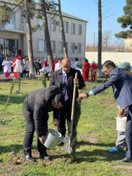 “Heydər Əliyev İli” münasibəti ilə ağacəkmə aksiyası keçirilib.