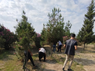 “Yaşıl dünya naminə həmrəylik ili” çərçivəsində Kür çayı sahilində təmizlik aksiyası keçirilmişdir.