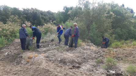 Kür çayı sahilində təmizlik aksiyası keçirilib.