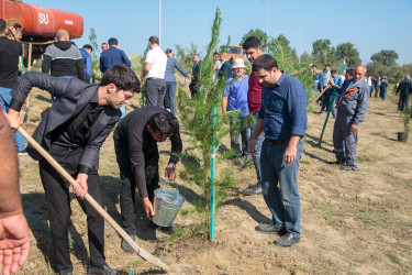 “27 sentyabr - Anım Günü”nün beşinci ildönümü ilə əlaqədar ağacəkmə aksiyası keçirilib.