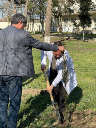 “Heydər Əliyev İli” münasibəti ilə ağacəkmə aksiyası keçirilib.