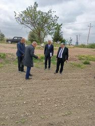 İcra Başçısı pambıq əkini sahələrinə  baxış keçirib.
