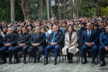 Salyanda “8 Noyabr - Zəfər Günü” böyük  coşqu ilə qeyd olundu.