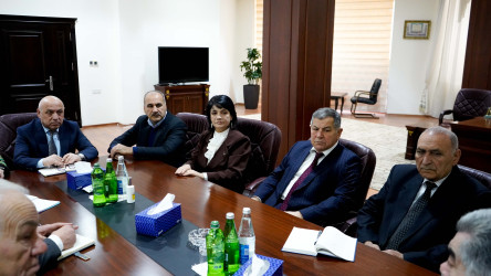 Salyan Rayon İcra Hakimiyyəti yanında İctimai Şuranın yeni ildə ilk iclası keçirilmişdir.