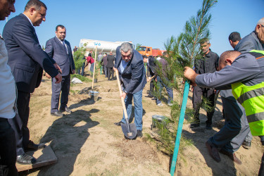 “27 sentyabr - Anım Günü”nün beşinci ildönümü ilə əlaqədar ağacəkmə aksiyası keçirilib.