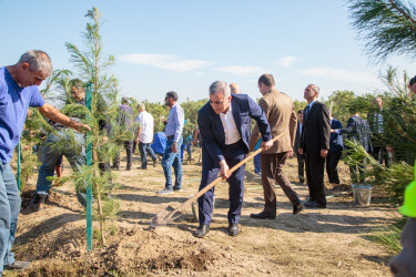 “27 sentyabr - Anım Günü”nün beşinci ildönümü ilə əlaqədar ağacəkmə aksiyası keçirilib.