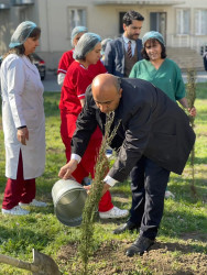 “Heydər Əliyev İli” münasibəti ilə ağacəkmə aksiyası keçirilib.