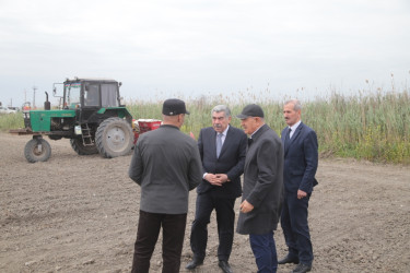 Salyan Rayon İcra Hakimiyyətinin başçısı Rüstəm Xəlilov pambıq əkini sahələrinə  baxış keçirib.