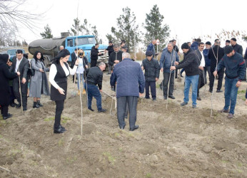 Salyan rayonunun Qarabağlı kəndində “Yaşıl dünya naminə həmrəylik ili”  çərçivəsində ağacəkmə aksiyası keçirilmişdir.