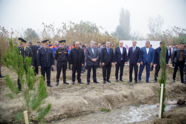 Salyanda 8 Noyabr –  Zəfər Günü ilə bağlı  ağacəkmə aksiyası keçirildi.