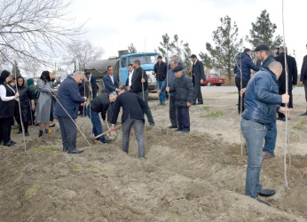 Salyan rayonunun Qarabağlı kəndində “Yaşıl dünya naminə həmrəylik ili”  çərçivəsində ağacəkmə aksiyası keçirilmişdir.