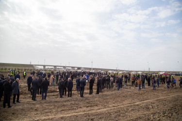 Salyanda “Şəhərsalma və Memarlıq ili” çərçivəsində ağacəkmə aksiyası keçirilib.