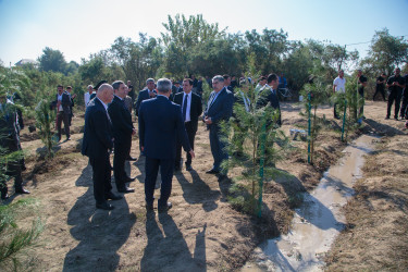 “27 sentyabr - Anım Günü”nün beşinci ildönümü ilə əlaqədar ağacəkmə aksiyası keçirilib.
