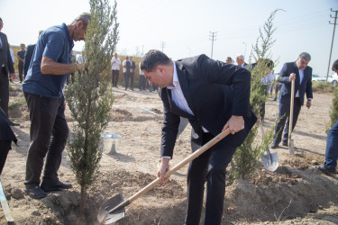 “27 sentyabr - Anım Günü”nün altıncı ildönümü ilə əlaqədar  ağacəkmə aksiyası keçirilib.