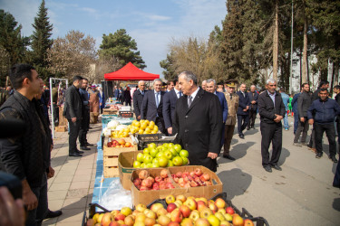 Salyanda Novruz bayramı münasibətilə ümumrayon tədbiri keçirilib.