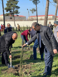 “Heydər Əliyev İli” münasibəti ilə ağacəkmə aksiyası keçirilib.