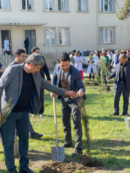 “Heydər Əliyev İli” münasibəti ilə ağacəkmə aksiyası keçirilib.