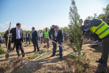 “27 sentyabr - Anım Günü”nün beşinci ildönümü ilə əlaqədar ağacəkmə aksiyası keçirilib.