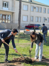 “Heydər Əliyev İli” münasibəti ilə ağacəkmə aksiyası keçirilib.