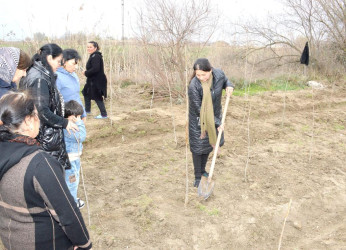 Salyan rayonunun Qarabağlı kəndində “Yaşıl dünya naminə həmrəylik ili”  çərçivəsində ağacəkmə aksiyası keçirilmişdir.