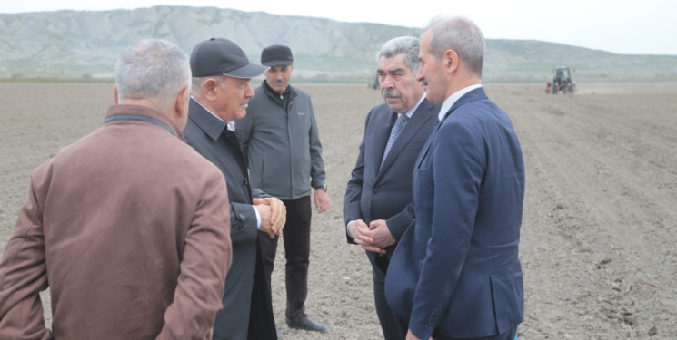 Salyan Rayon İcra Hakimiyyətinin başçısı Rüstəm Xəlilov pambıq əkini sahələrinə  baxış keçirib.