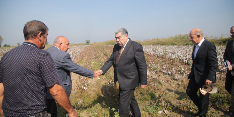 Salyan Rayon İcra Hakimiyyətinin başçısı Rüstəm Xəlilov pambıq yığımı ilə əlaqədar sahələrə baxış keçirib.