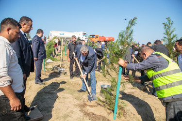 “27 sentyabr - Anım Günü”nün beşinci ildönümü ilə əlaqədar ağacəkmə aksiyası keçirilib.