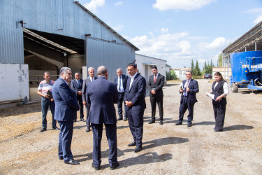 2026-2030-cu illər üçün Dövlət Proqramında nəzərdə tutulan tədbirlər çərçivəsində Salyan rayonu üzrə zona müşavirəsində irəli sürülmüş təşəbbüslər və ya həyata keçirilən digər tədbirlərlə bağlı görülmüş işlər barədə iclas keçirilib.