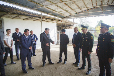 Salyan rayonunda şəhidlərin ailə üzvləri ziyarət olunur.