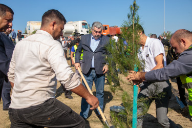 “27 sentyabr - Anım Günü”nün beşinci ildönümü ilə əlaqədar ağacəkmə aksiyası keçirilib.