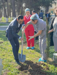 “Heydər Əliyev İli” münasibəti ilə ağacəkmə aksiyası keçirilib.