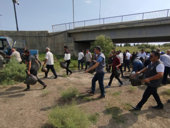 “Yaşıl dünya naminə həmrəylik ili” çərçivəsində Kür çayı sahilində təmizlik aksiyası keçirilmişdir.