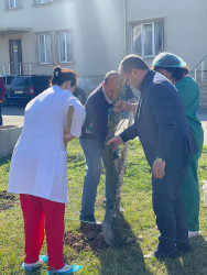 “Heydər Əliyev İli” münasibəti ilə ağacəkmə aksiyası keçirilib.