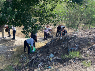 Salyanda  “Yaşıl dünya naminə həmrəylik ili” çərçivəsində təmizlik aksiyası keçirilib.