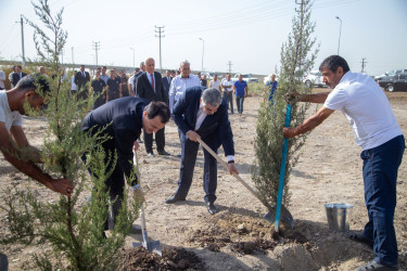 “27 sentyabr - Anım Günü”nün altıncı ildönümü ilə əlaqədar  ağacəkmə aksiyası keçirilib.