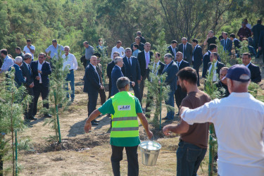 “27 sentyabr - Anım Günü”nün beşinci ildönümü ilə əlaqədar ağacəkmə aksiyası keçirilib.
