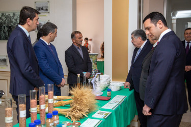 Salyan Rayon İcra Hakimiyyəti başçısının 2025-ci ilin sosial- iqtisadi inkişafının yekunlarına və 2026-cı ildə qarşıda duran vəzifələrə  həsr olunmuş hesabat yığıncağı keçirilib.