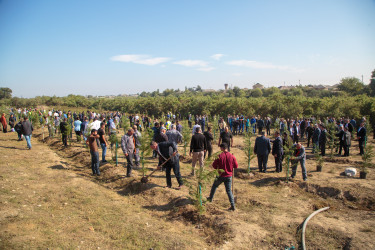 “27 sentyabr - Anım Günü”nün beşinci ildönümü ilə əlaqədar ağacəkmə aksiyası keçirilib.