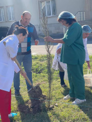 “Heydər Əliyev İli” münasibəti ilə ağacəkmə aksiyası keçirilib.