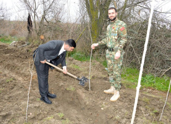 Salyan rayonunun Qarabağlı kəndində “Yaşıl dünya naminə həmrəylik ili”  çərçivəsində ağacəkmə aksiyası keçirilmişdir.